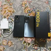 شیایومی Poco f4 5G 256/8|موبایل|قم, نخودی|دیوار