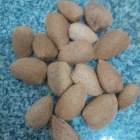 فروش بادام شاهرودی 12 پوست کاغذی کیلوی 650