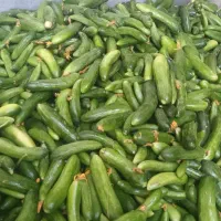 انواع.خیارشور.وترش