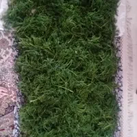 سبزی بی نظیر نیشابور|خوردنی و آشامیدنی|تهران, حشمتیه|دیوار