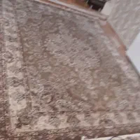 فرش 6و9متری|فرش|ایلام, |دیوار