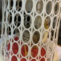 اردک بالغ ۴ ماهه