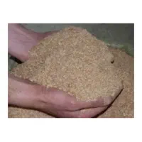 خوراک دام گوسفند و بره نر