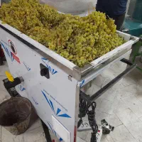 محموله جدید دستگاه آبلیموگیری و آبغوره گیری
