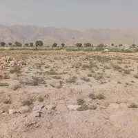 بسیجیان پلاک ۳۰۰و۳۰۱