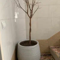 گلدان سفالی