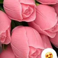 خط صفر  09176060609 به فروش میرسد