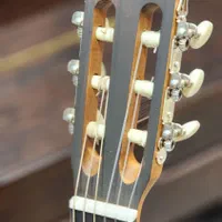 گیتار پارسی m2|گیتار، بیس، امپلیفایر|پردیس, فاز ۲|دیوار