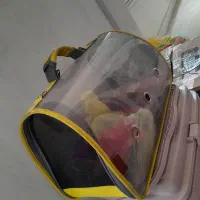 پارک سگ  فنس سگ  باکس لباس سگ