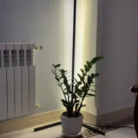 آباژور ایستاده کنجی