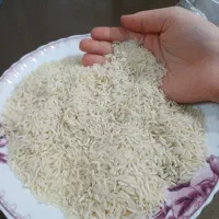 برنج هاشمی اصل گیلان سیاهکل