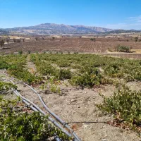 فروش|فروش خانه و ویلا|بانه, |دیوار