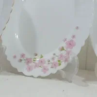 ایروپال ۲۵ پارچه