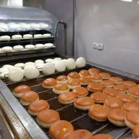 پخش وتولیدپیراشکی بادستگاه بدونه واسطه