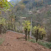 ویلا نمیه کاردر شمال رشت شهرستان شفت|فروش خانه و ویلا|احمدسرگوراب, |دیوار