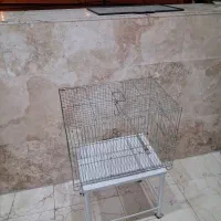 قفس قناری