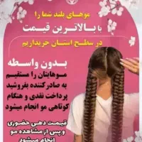 صادرکننده بزرگ مو در کشور
