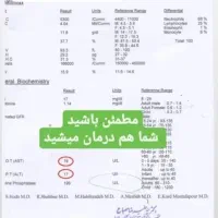 تضمین سلامتی با کبد سالم|خدمات آرایشگری و زیبایی|رشت, حافظ آباد|دیوار