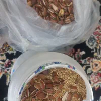 پارک گربه و سگ|لوازم جانبی حیوانات|تهران, صاحب الزمان|دیوار