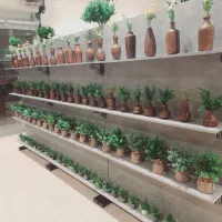 فروش هدایای مناسبتی (به قیمت تولیدی)|گل و گیاه طبیعی|رفسنجان, |دیوار