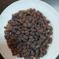 کشمش آفتابی