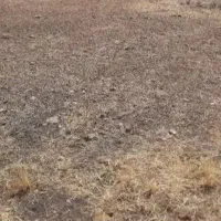 فروش زمین با جواز ۲طبقه