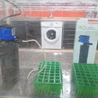 آکواریوم|ماهی|بوکان, |دیوار