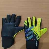 دسکش دروازبانی