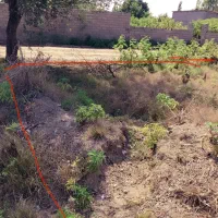 زمین باغچهای شهرکامامحسین ارزان قیمت|فروش زمین و ملک کلنگی|ساری, |دیوار