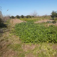 باغ کشاورزی به فروش میرسد