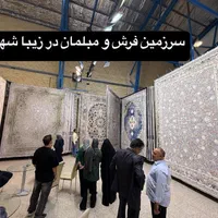فرش ناردون کاشان سایز ۶متری ،۹متری،۱۲متری ۱۲۰۰شانه|فرش|شیراز, رکن‌آباد|دیوار