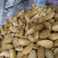 مغز کردن گردو بادام هسته