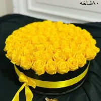 رز ربانی|گل مصنوعی|بیرجند, |دیوار