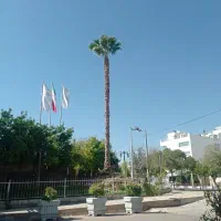 هرس.وبرش.|خدمات باغبانی و درختکاری|شیراز, شهرک گلستان|دیوار