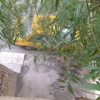 تاکسی آردی مدل۸۳
