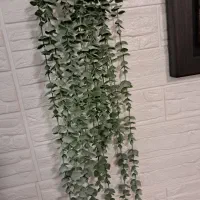 دکوری|گل مصنوعی|تهران, جیحون|دیوار