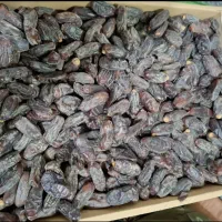 خرما ربی درجه یک|خوردنی و آشامیدنی|ایرانشهر, |دیوار