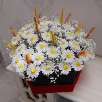 بورس انواع شمع 10 سانتی و 20 سانتی و غیره|صنایع دستی و سایر لوازم تزئینی|مشهد, گاز|دیوار