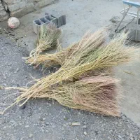 جارو روستایی