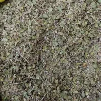 *آویشن شیرازی*