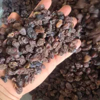 نماینده کشمش ومویز شیراز|خوردنی و آشامیدنی|تهران, مرزداران|دیوار