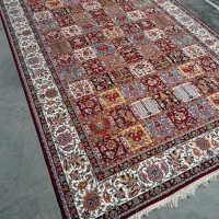 قرش ستاره کویریزد شاهکارنوین ۷۰۰شانه ۲۵۵۰تراکم