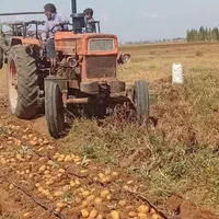 زمین زراعی۲هکتارباحقابه تهاترباکرج تهران|فروش دفتر صنعتی، کشاورزی، تجاری|کرج, شهرک بنفشه|دیوار