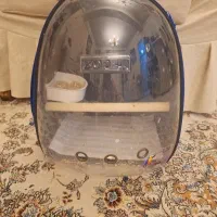 کیف پرنده