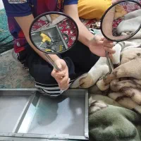 آینه موتور