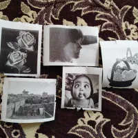 پرینتر حرارتی لیبل زن|پرینتر، اسکنر، کپی، فکس|بوشهر, |دیوار