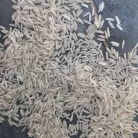 صدری زرد دم استخوانی گرم درجه یک