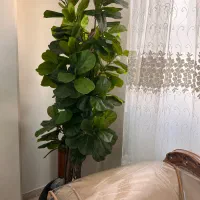 درختچه مصنوعی