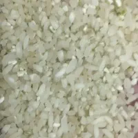 برنج ونیم دانه کامفیروزی و عنبربو درجهیک میخای بیا|خوردنی و آشامیدنی|شیراز, تندگویان|دیوار