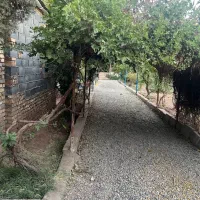 فروش خانه ویلایی ۸۵ متری ۲ خوابه امنیت ودارای درخت|فروش خانه و ویلا|اشتهارد, |دیوار